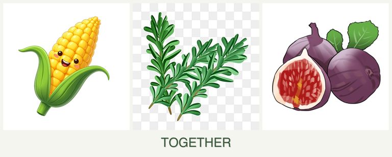 Can you plant corn, rosemary and figs together?