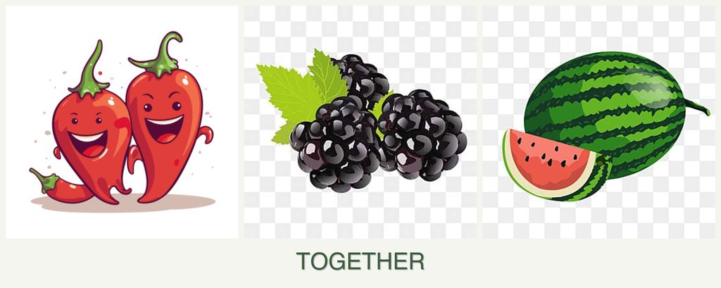 Can you plant peppers, blackberries and melons together?