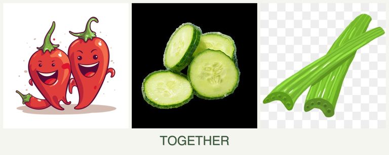 Can you plant peppers, cucumbers and celery together?