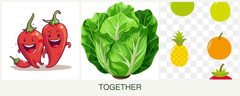 Can you plant peppers, lettuce and pears together?