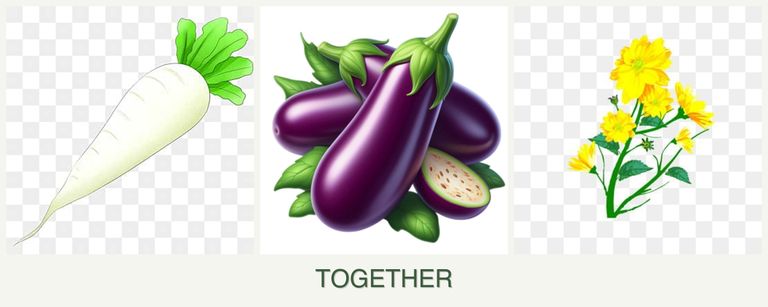 Can you plant radishes, eggplant and calendula together?