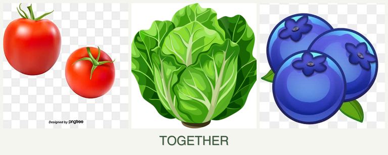 Can you plant tomatoes, lettuce and blueberries together?
